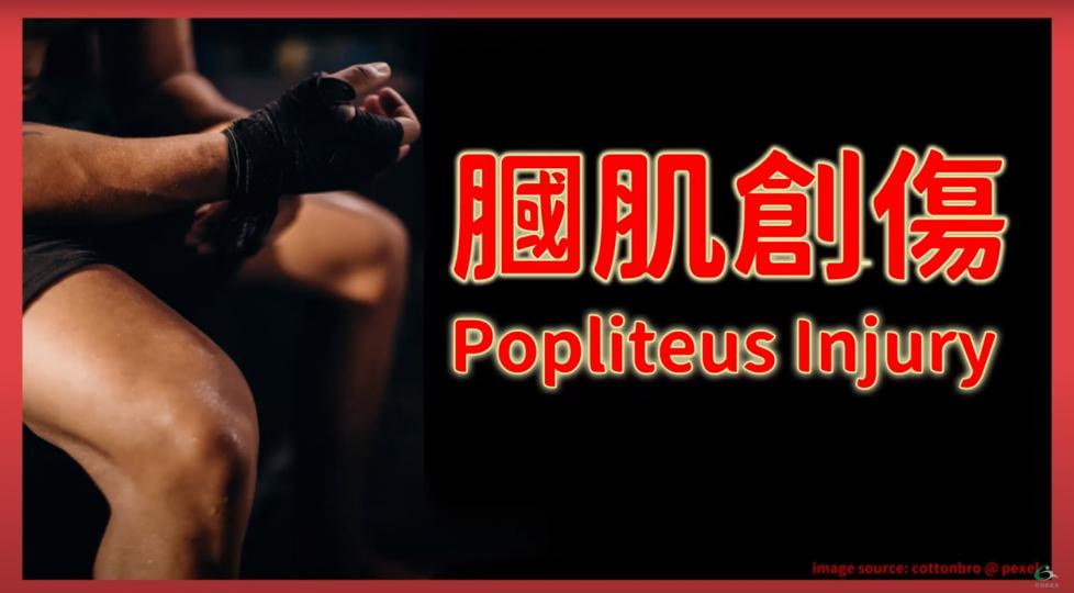 膝痛之膕肌創傷Popliteus Injury【傷患痛症系列】