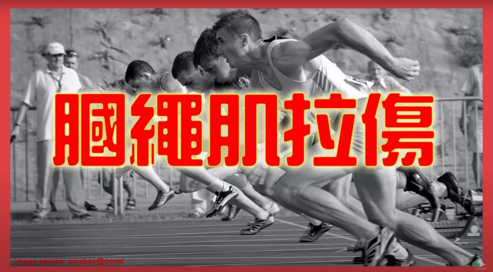 大腿痛之膕繩肌拉傷Hamstring Injury【傷患痛症系列】