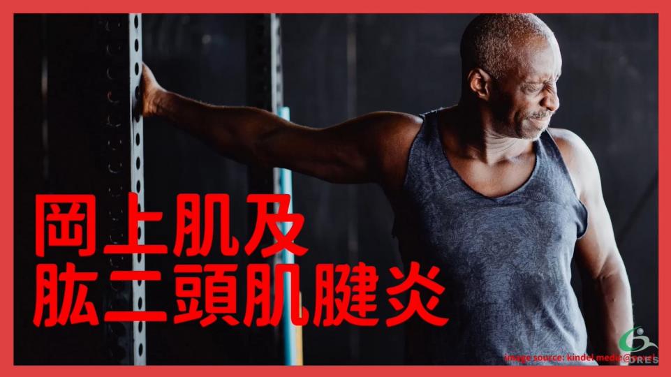 肩痛之岡上肌及肱二頭肌腱炎 肩痛之岡上肌及肱二頭肌腱炎