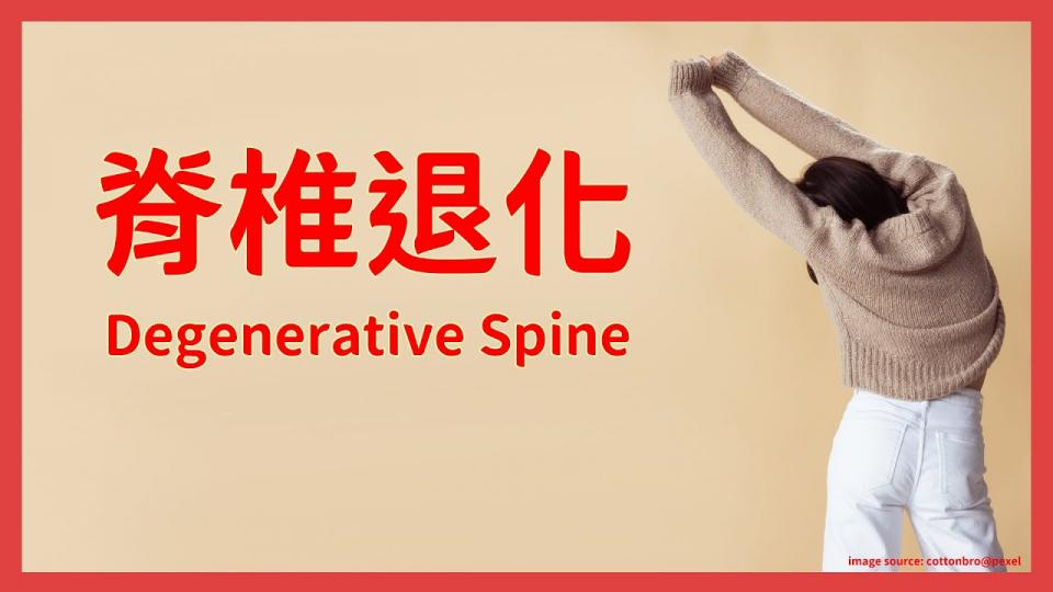【傷患痛症系列】腰背痛之脊椎退化
