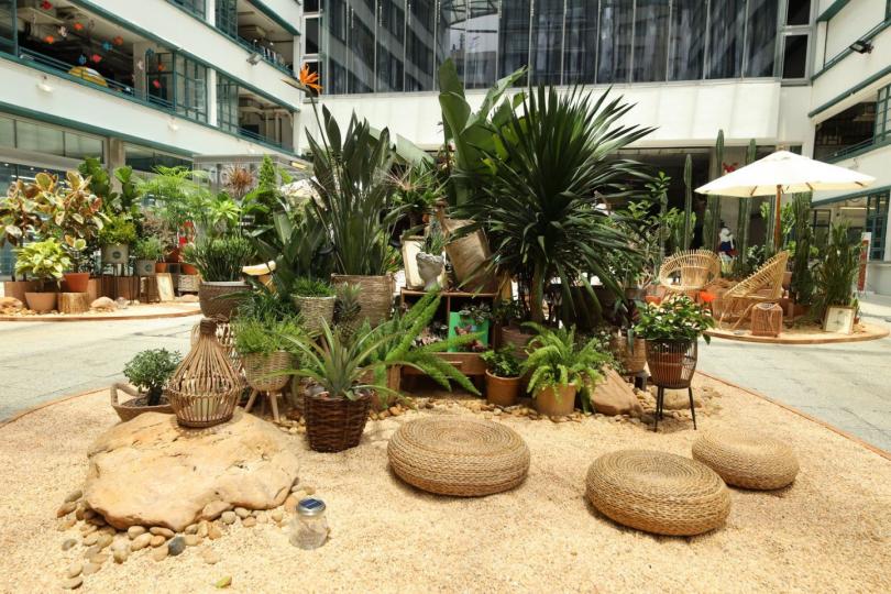 Urban Jungle at PMQ 唞唞hea