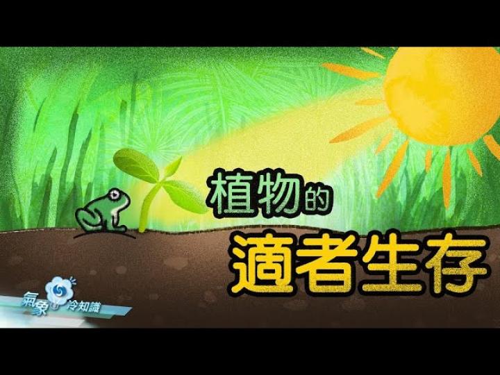 『氣象冷知識』：植物的適者生存