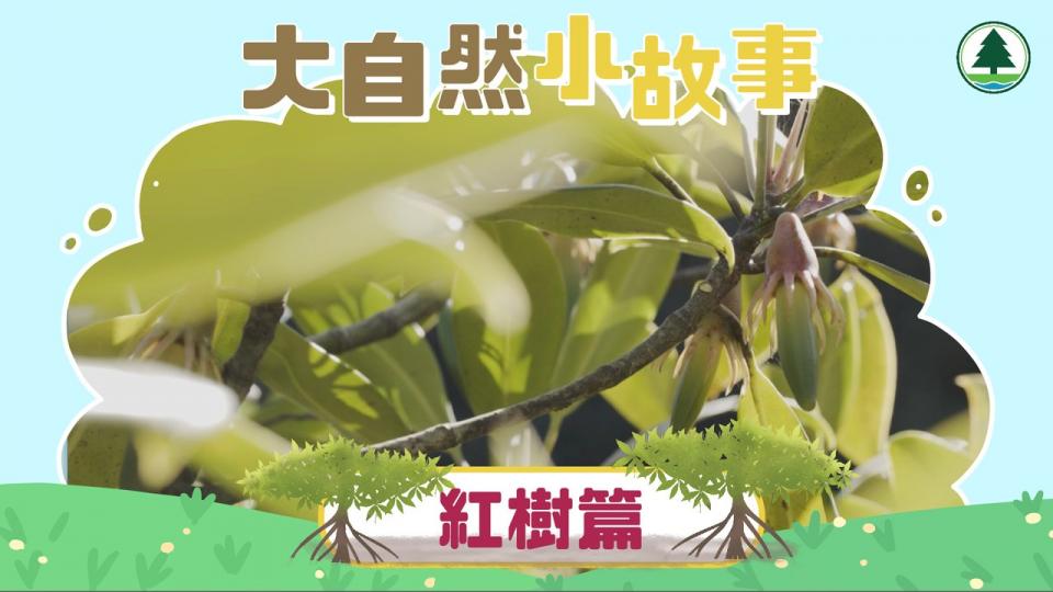 植物都唔可以「食得太鹹」？