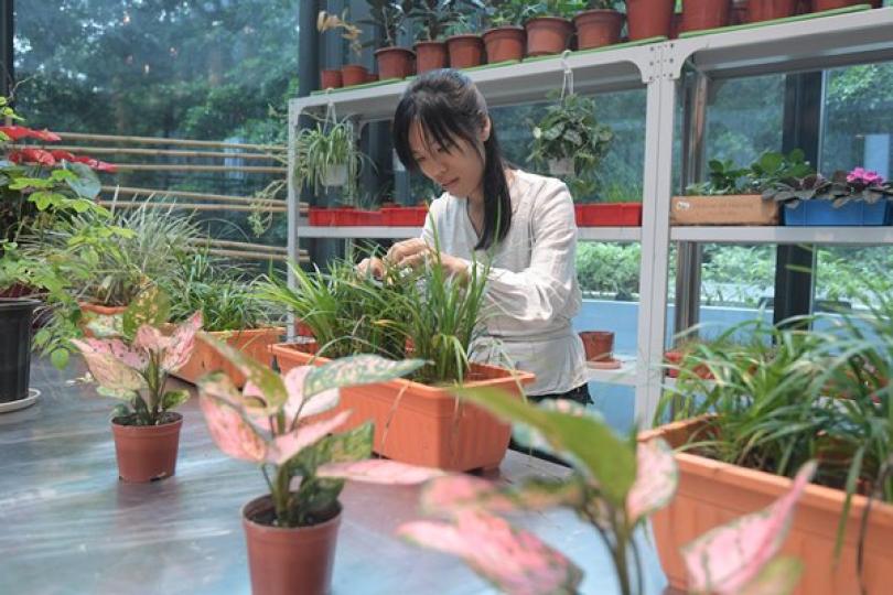 學以致用: 修畢園藝及園境管理課程的李靖怡指，課程教授專業知識，對她目前擔任的園藝工作很有幫助。