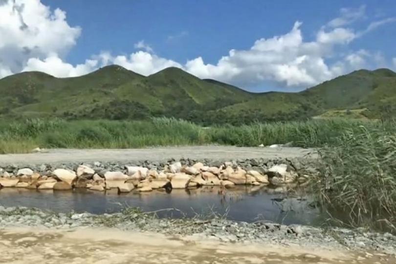 多元生境: 河套地區內的蘆葦叢、現有的雀鳥飛行走廊等將成為生態區生境特色。