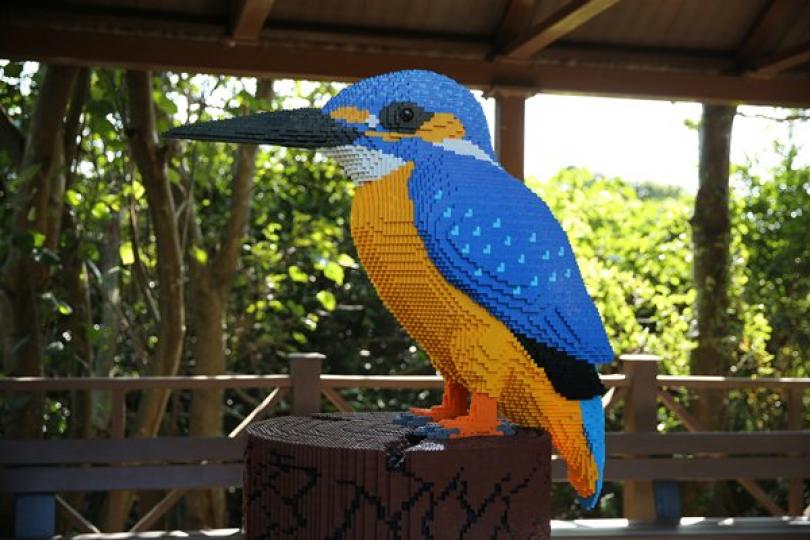 濕地公園辦觀鳥節 濕地公園辦觀鳥節