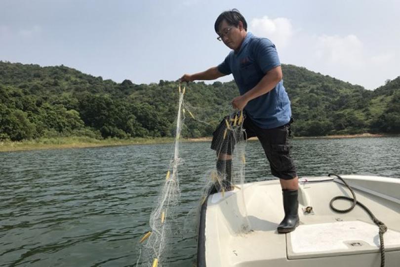 黃偉綸網誌:水塘特攻隊 黃偉綸網誌:水塘特攻隊