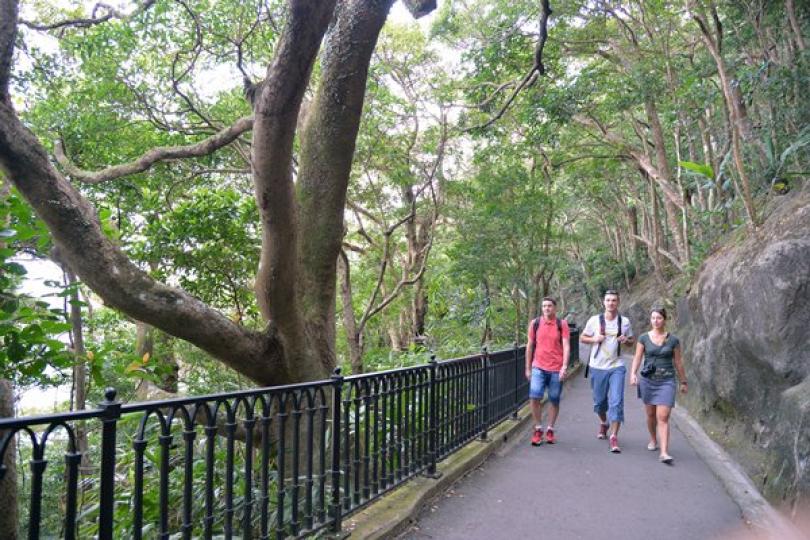 全新版面郊野樂行網站推出