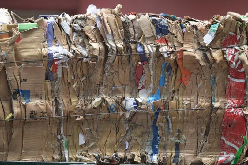 廢紙回收計劃助保障五千崗位