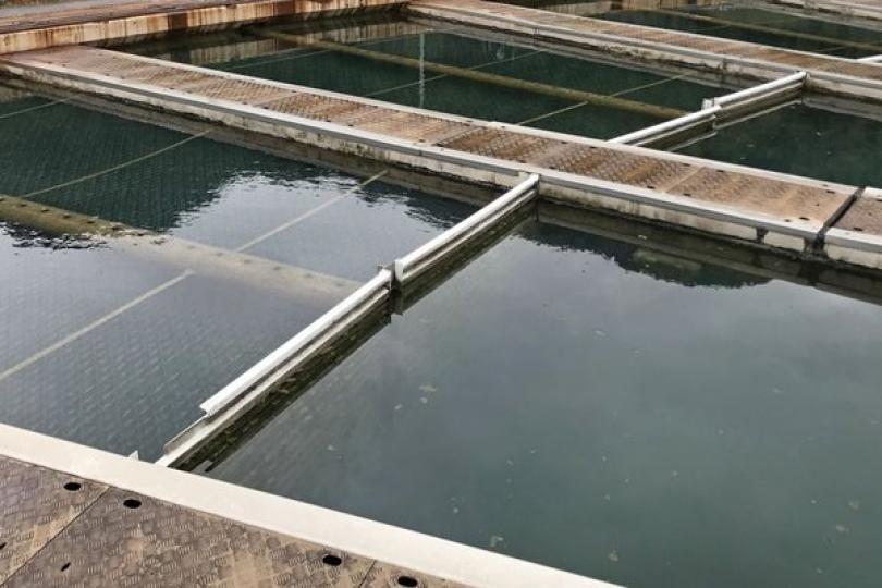 消毒程序嚴格 確保食水安全 消毒程序嚴格 確保食水安全