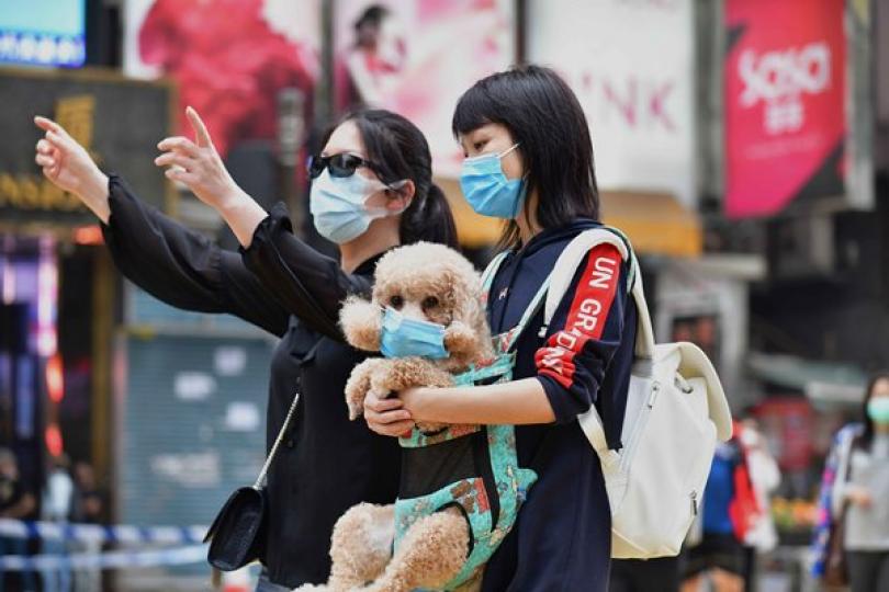 抗疫三月 曙光漸露