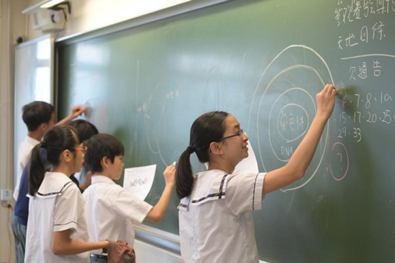 善用全港性系統評估材料 善用全港性系統評估材料