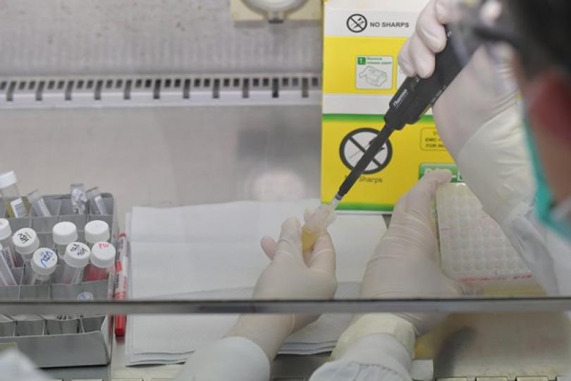 優先到較高風險大廈派發樣本瓶 優先到較高風險大廈派發樣本瓶