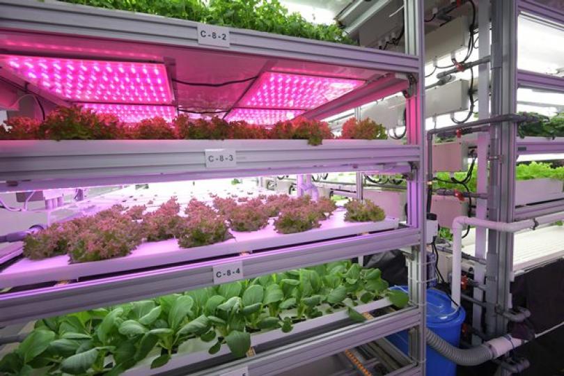善用科技享豐收 善用科技享豐收