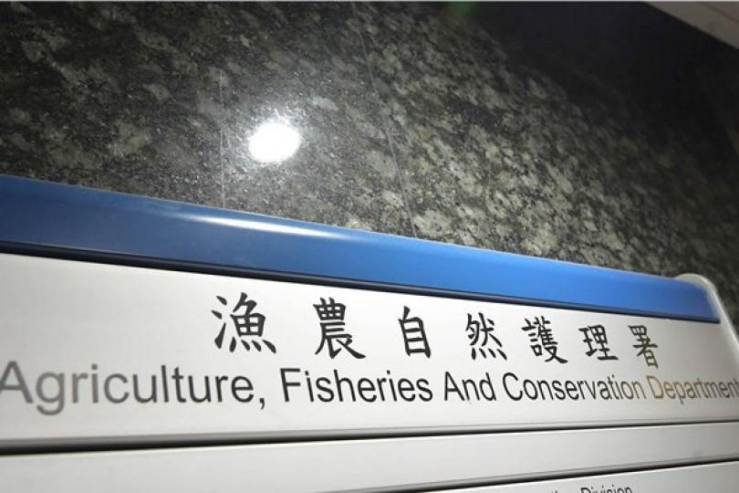 確診者貓隻新冠病毒測試呈陽性 確診者貓隻新冠病毒測試呈陽性