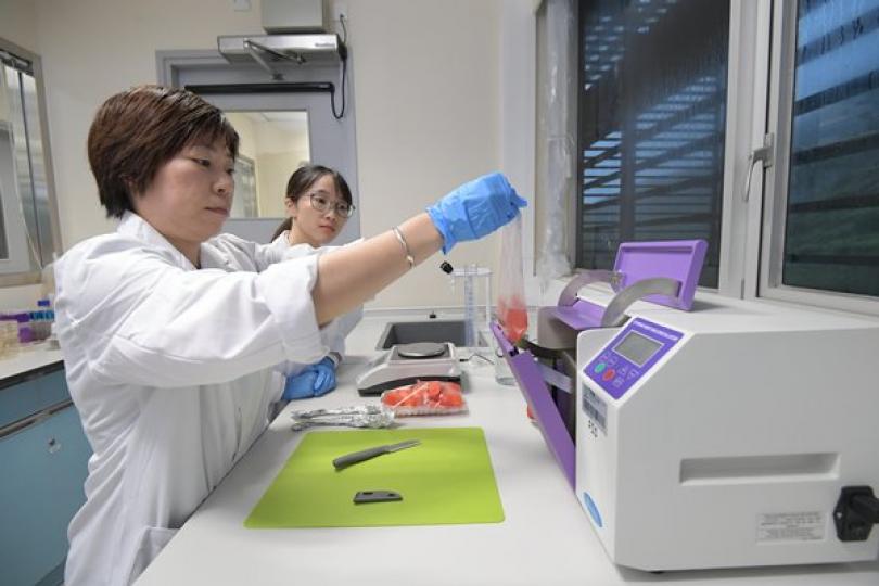 政府再撥款助大學研究新型肺炎 政府再撥款助大學研究新型肺炎