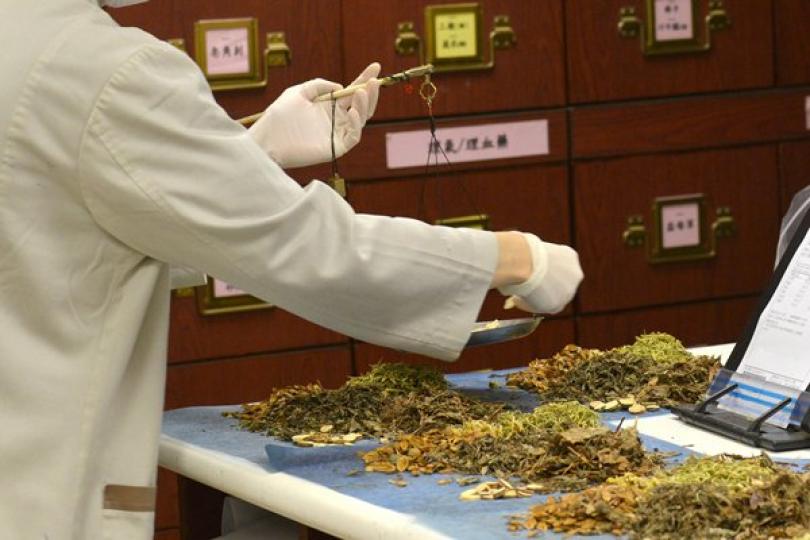 推動本港中醫藥在大灣區發展