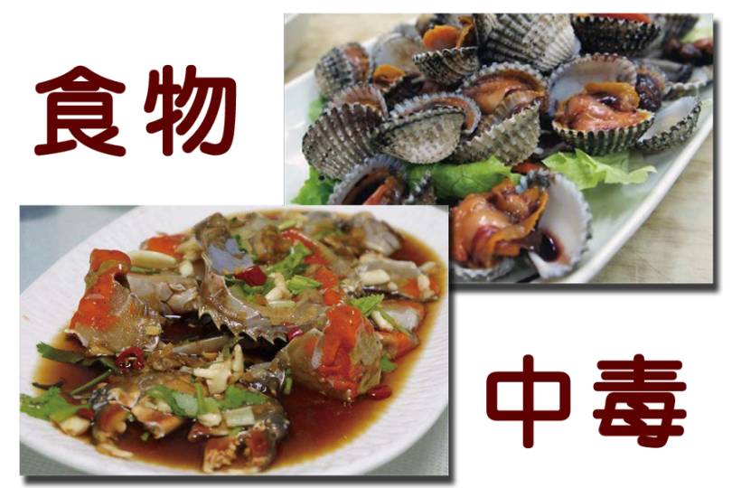 進食醃泡的生蟹及生螄蚶引致食物中毒 進食醃泡的生蟹及生螄蚶引致食物中毒