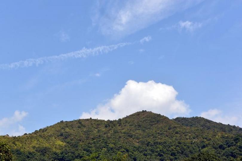 減低發電廠排放 改善空氣質素 減低發電廠排放 改善空氣質素
