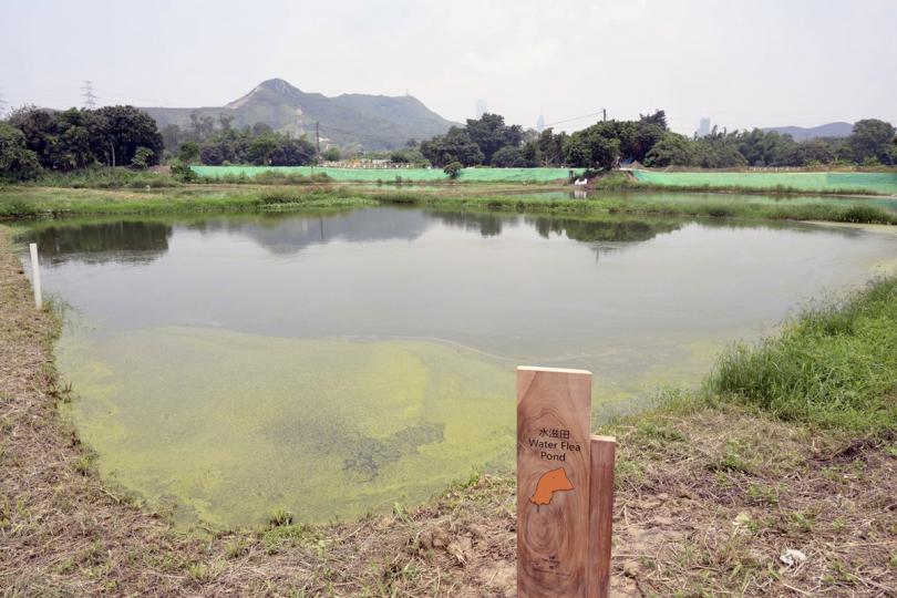 生態公園:  土木工程拓展署銳意發展塱原為自然生態公園。