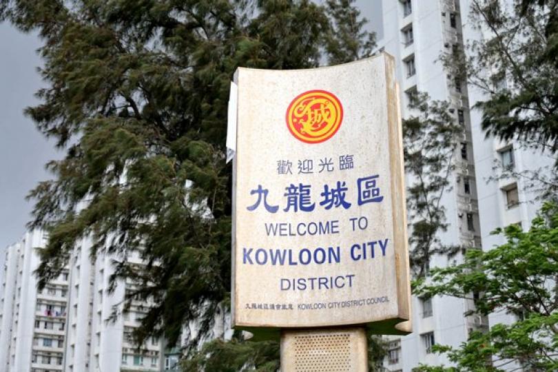 十名區議員宣誓確定無效