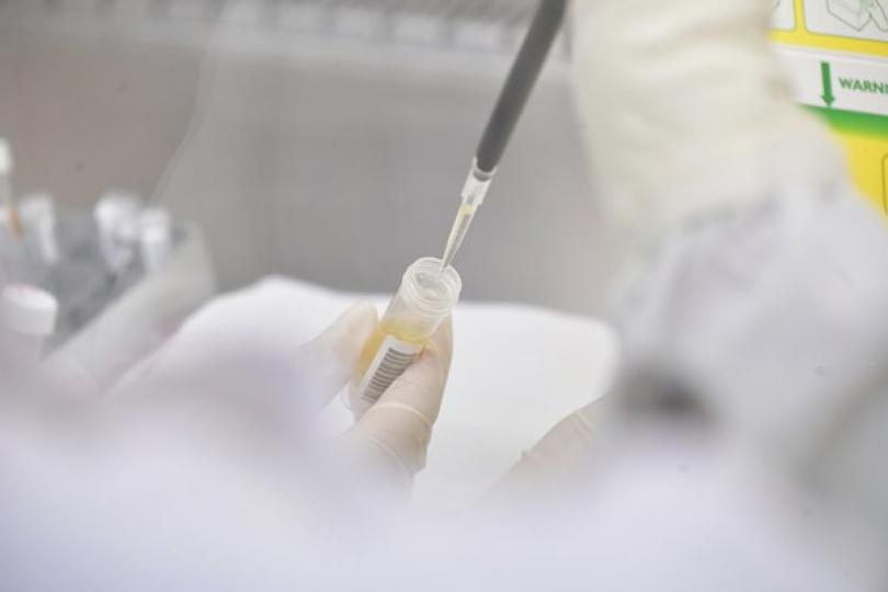 帶Omicron病毒株個案增至27宗