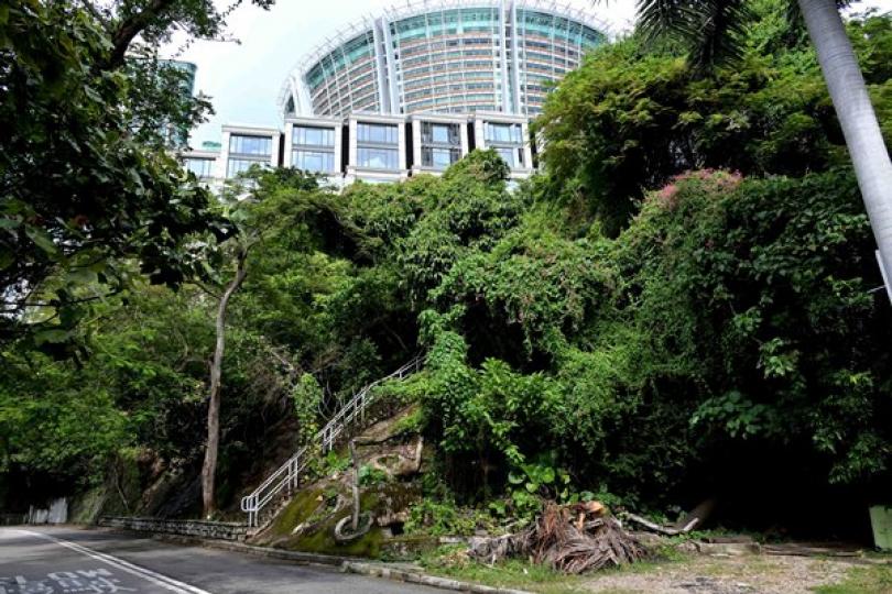 淺水灣住宅用地招標
