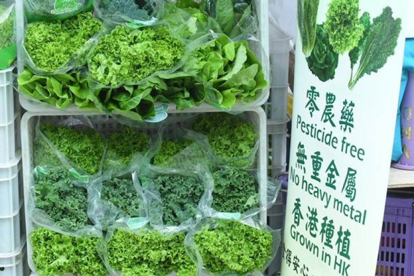 漁農業界資助2月21日起接受申請