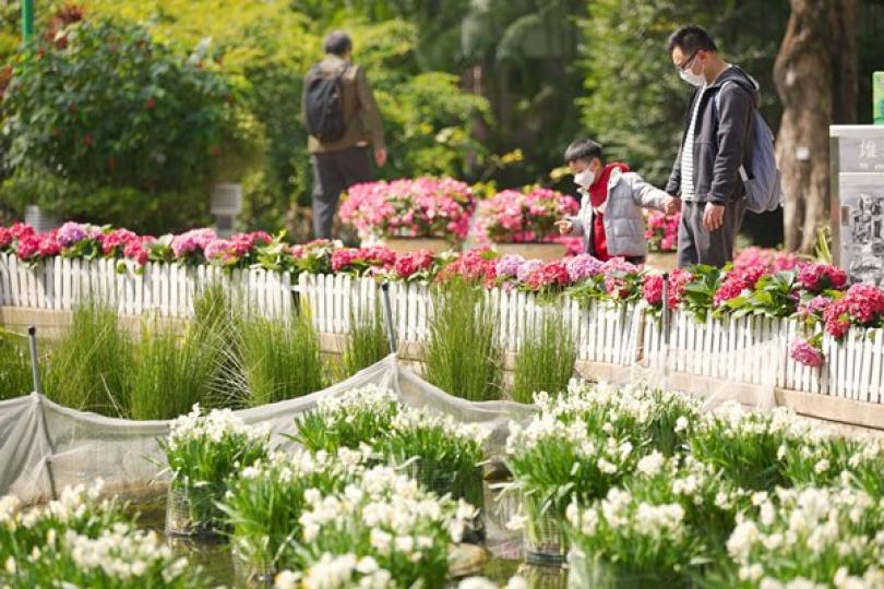 愛護林木 締造宜居城市
