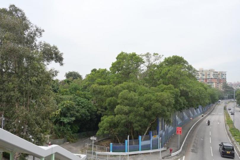 屯門住宅地招標出售 屯門住宅地招標出售