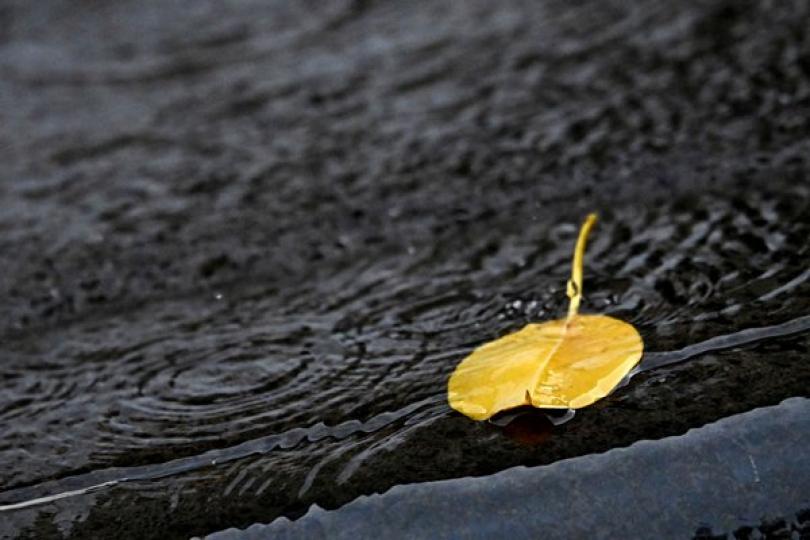 8月雨量較正常值多三成六 8月雨量較正常值多三成六
