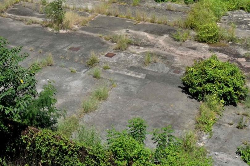 加強協調 助棕地作業升級轉型 加強協調 助棕地作業升級轉型