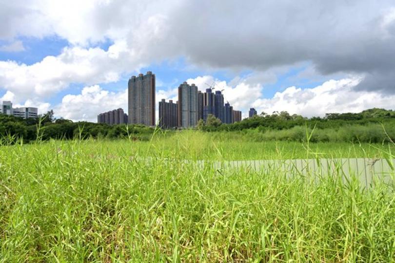 全力落實土地政策 構建宜居香港 全力落實土地政策 構建宜居香港