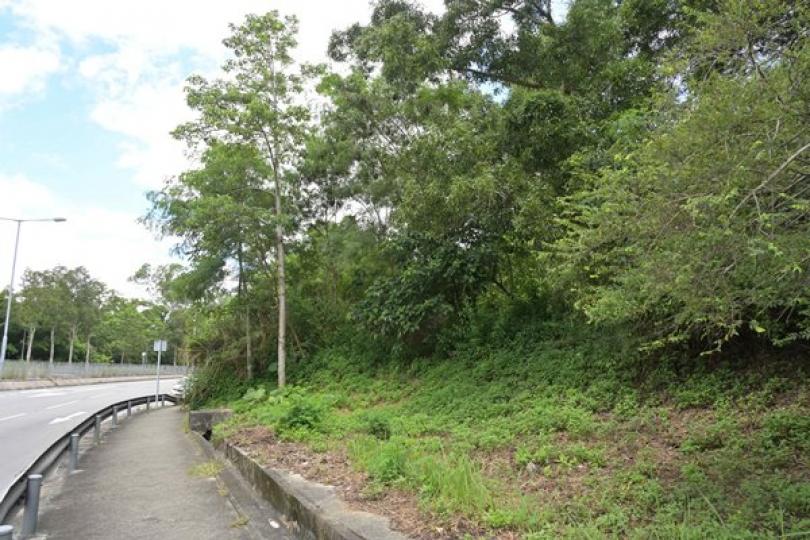 土地共享計劃三申請獲原則性同意 土地共享計劃三申請獲原則性同意