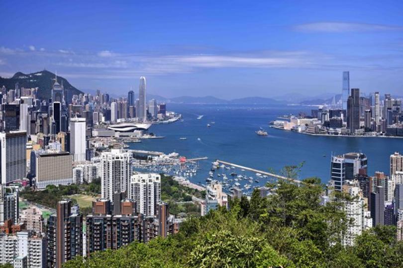 各區將設大灣區資訊站 各區將設大灣區資訊站