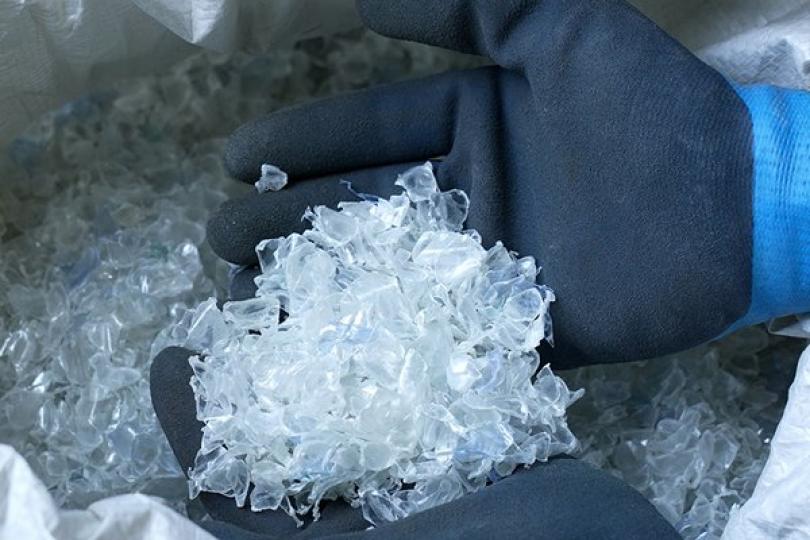 低碳綠色科研基金次輪批出七項目 低碳綠色科研基金次輪批出七項目