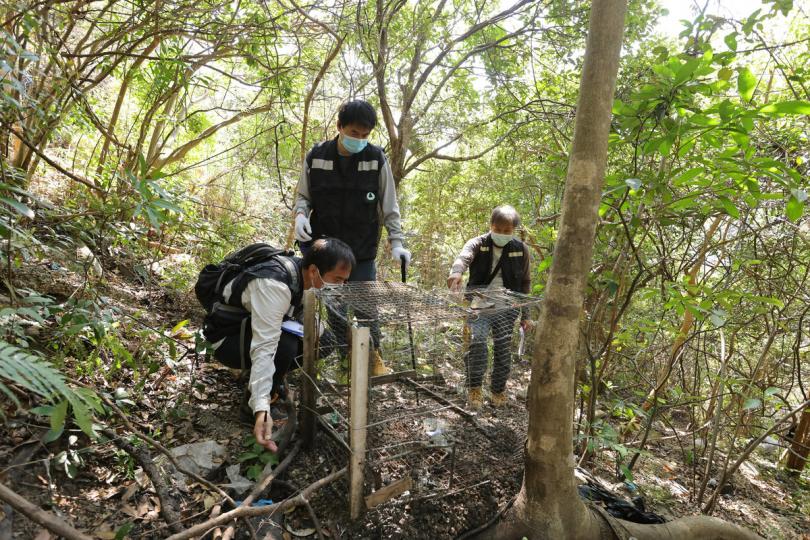 加強執法: 在將軍澳的聯合行動中,漁護署人員檢獲並移除其中一個捕獸籠。 加強執法: 在將軍澳的聯合行動中,漁護署人員檢獲並移除其中一個捕獸籠。