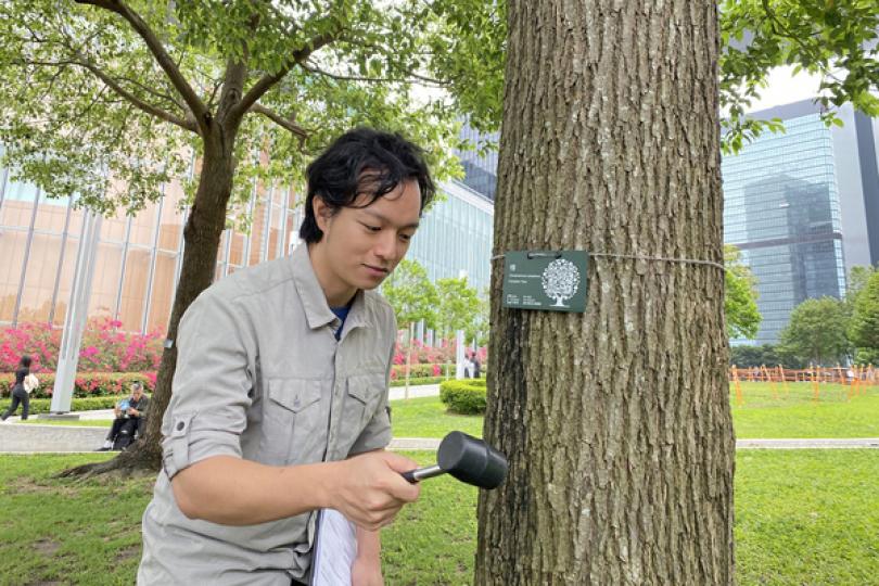 甯漢豪網誌談樹木種植和護養 甯漢豪網誌談樹木種植和護養