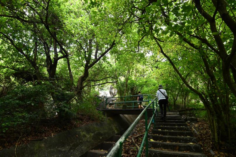 農林助理遭野蜂螫斃 兩局長致哀 農林助理遭野蜂螫斃 兩局長致哀