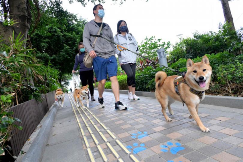 寵物共享公園增加逾50個 寵物共享公園增加逾50個