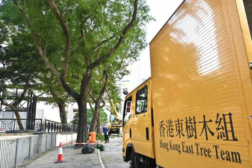 樹木辦多項措施優化投訴處理機制 樹木辦多項措施優化投訴處理機制