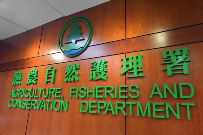 發現鯨魚屍體 漁護署感惋惜 發現鯨魚屍體 漁護署感惋惜