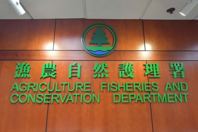 漁護署提醒市民勿追蹤鯨魚 漁護署提醒市民勿追蹤鯨魚