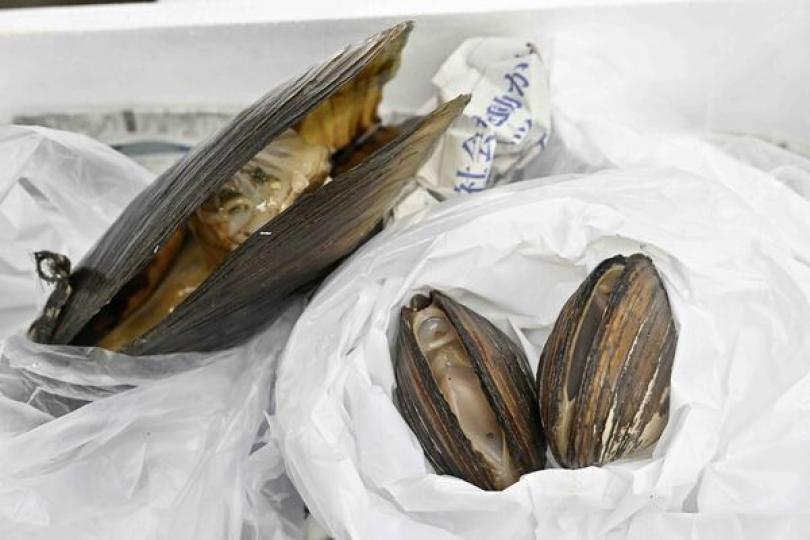 短期內無空間放寬日本水產品進口 短期內無空間放寬日本水產品進口