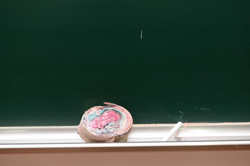 按四項原則處理玫瑰崗中學事件 按四項原則處理玫瑰崗中學事件