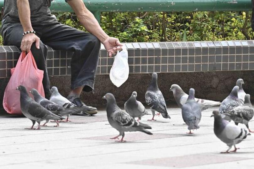 提高餵飼野生動物罰則法案刊憲 提高餵飼野生動物罰則法案刊憲