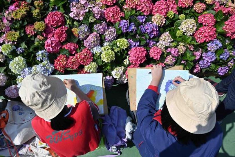花展繪畫比賽接受報名 花展繪畫比賽接受報名