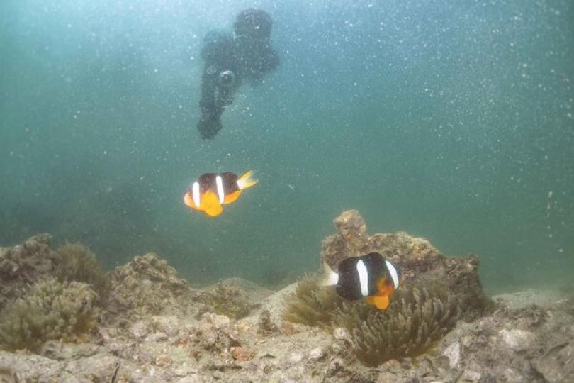 政府刊憲指定北大嶼海岸公園