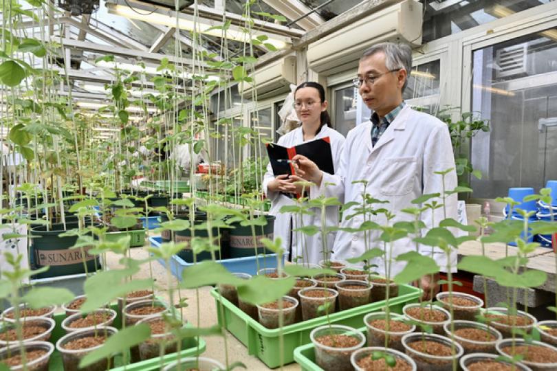 貢獻國家 共同進步
