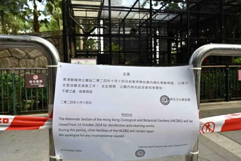 九猴染類鼻疽引發敗血病死亡